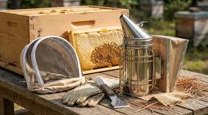 Beehives Apiary Equipment Nellore